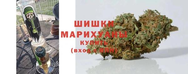 крисы Заводоуковск