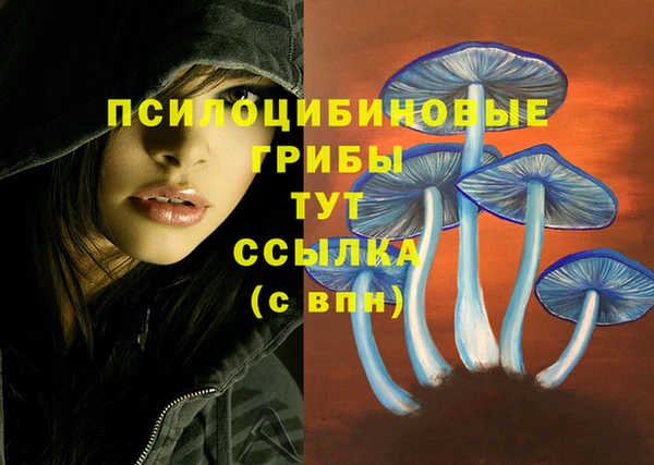 дживик Заволжье