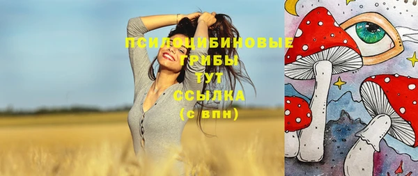 крисы Заводоуковск